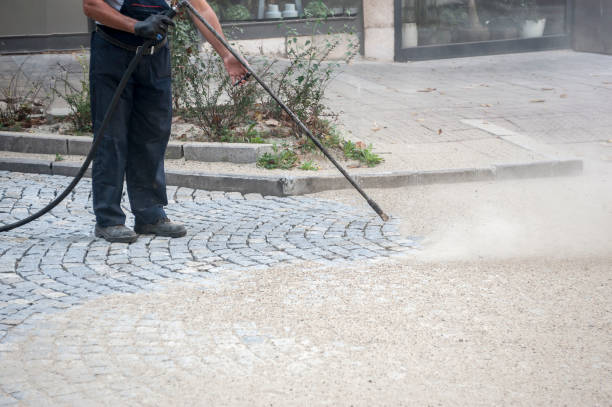 Best Sidewalk and Walkway Cleaning  in Penbrook, PA